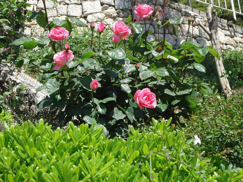 Peric Rooms Dubrovnik Exterior foto