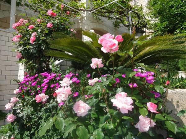 Peric Rooms Dubrovnik Exterior foto